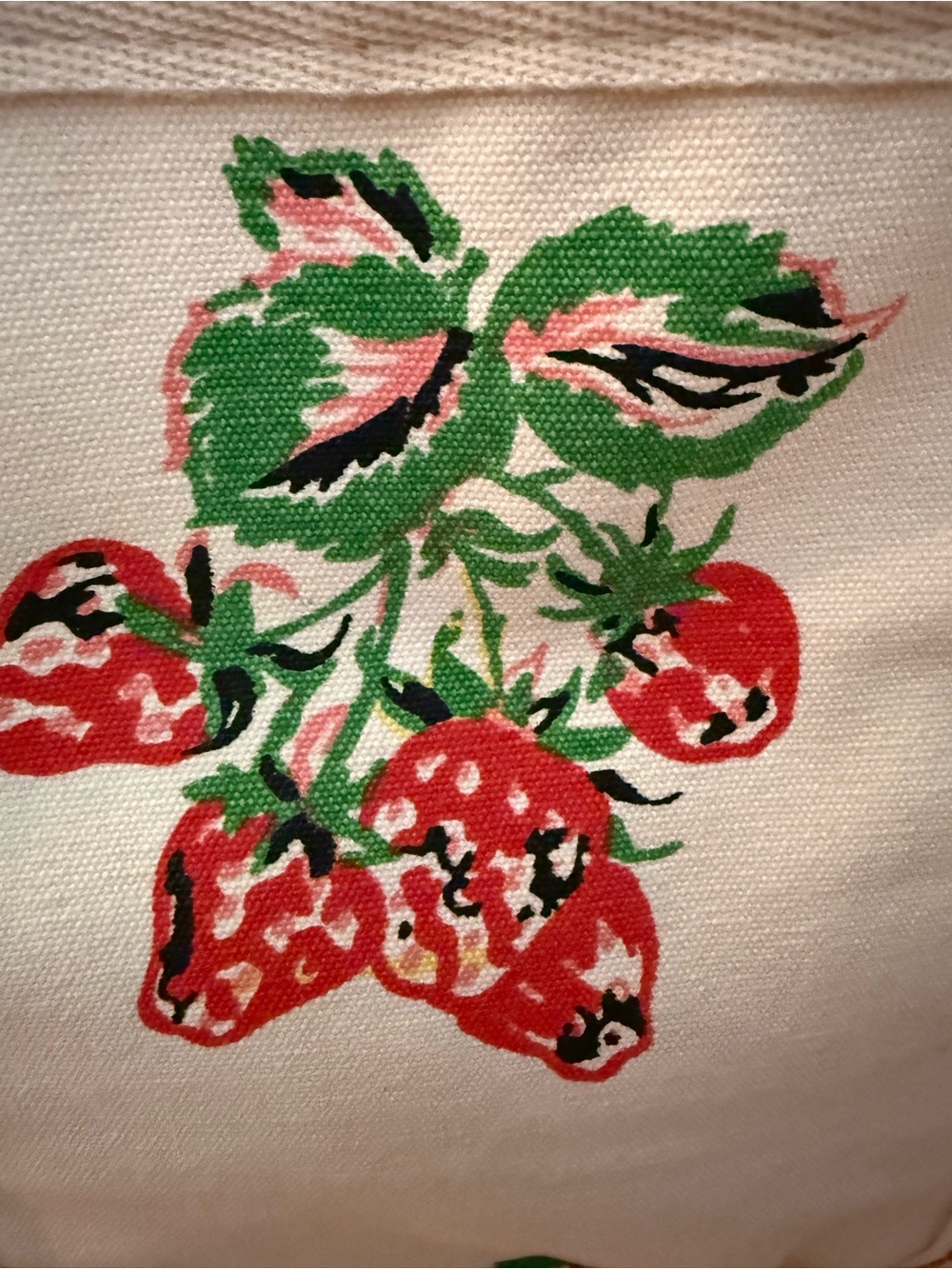 Free People | Printed Caravan Tote | Strawberry | Large Tote Bag - Picture 5 of 12